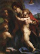 Andrea del Sarto Our Lady of sub Sweden oil painting artist